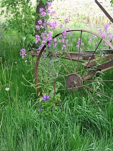 Old Rake Wheel
