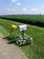 Mailbox and Bean Field