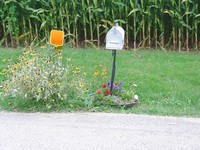 Mail Box  Flowers