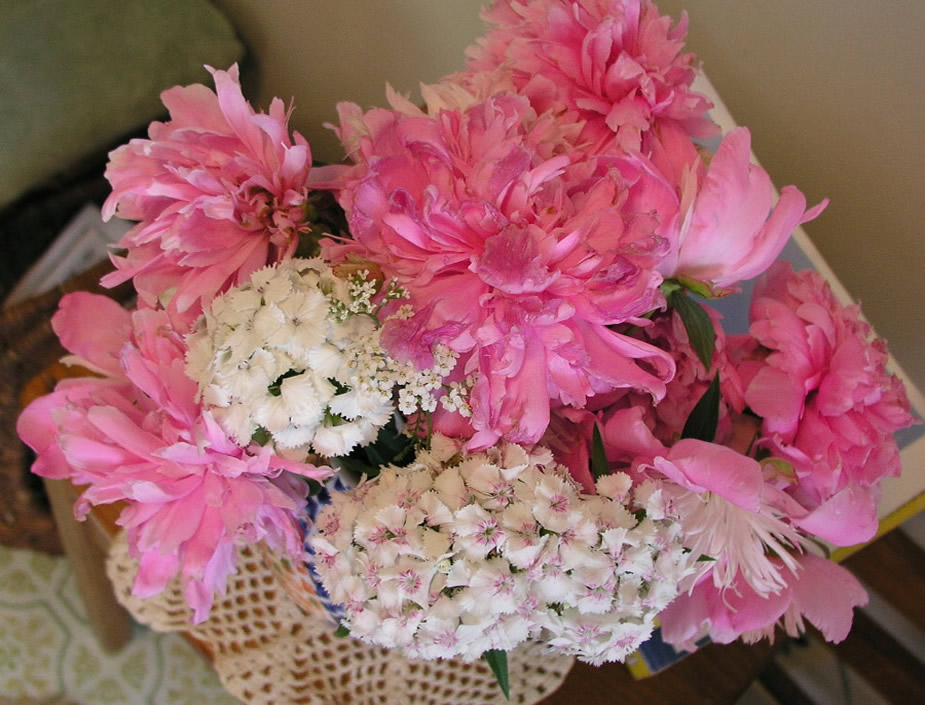 Peonies and Wild Flowers