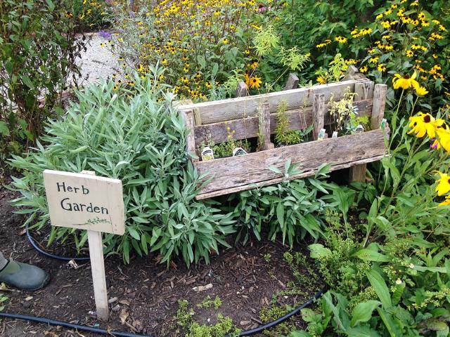 A pallet herb garden attached to a saw horse in Tippecanoe-County-Extension Master-Gardeners' Show and Idea Gardens