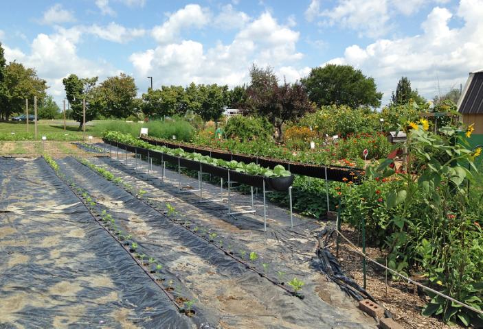 Trough Gardening and other Innovative Techniques in Tippecanoe-County-Extension Master-Gardeners' Show and Idea Gardens