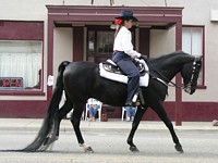 Arabian (?) horse and rider