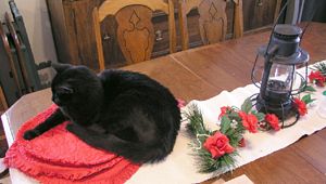 Christmas Cat Centerpiece