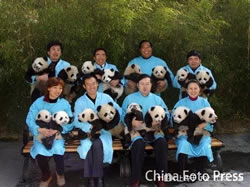 Zoo workers holding baby pandas